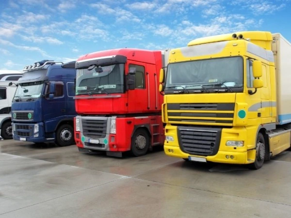 İzmir Ihlamur Nakliye